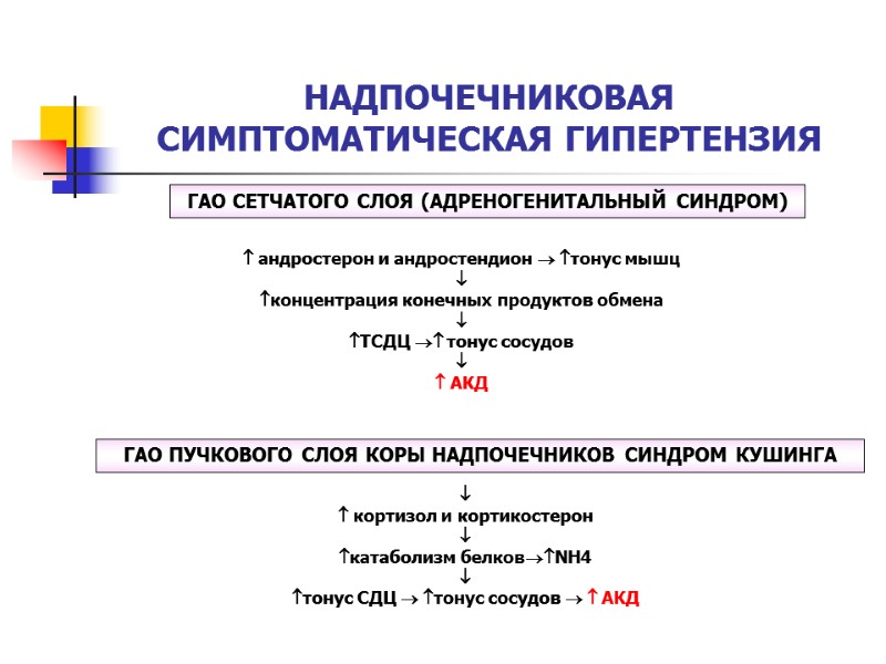 НАДПОЧЕЧНИКОВАЯ СИМПТОМАТИЧЕСКАЯ ГИПЕРТЕНЗИЯ ГАО СЕТЧАТОГО СЛОЯ (АДРЕНОГЕНИТАЛЬНЫЙ СИНДРОМ)  андростерон и андростендион  тонус